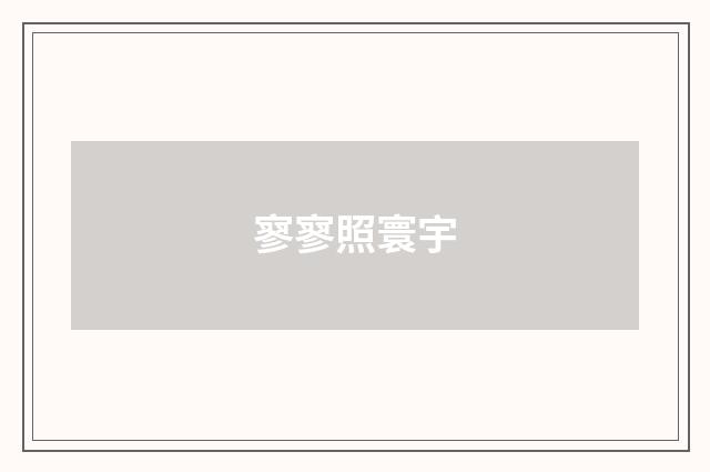 寥寥照寰宇