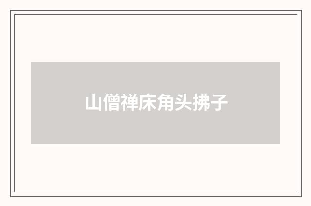 山僧禅床角头拂子