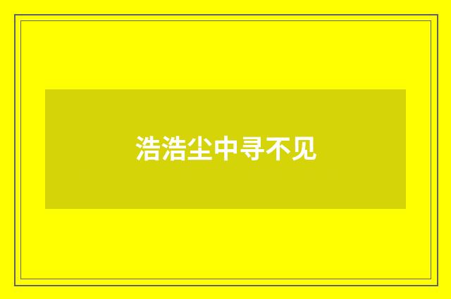 浩浩尘中寻不见