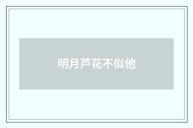 明月芦花不似他