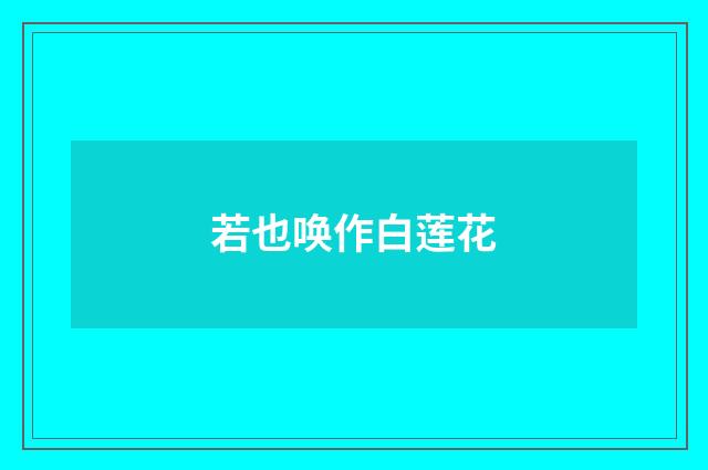 若也唤作白莲花