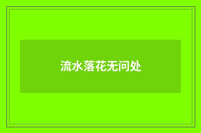 流水落花无问处
