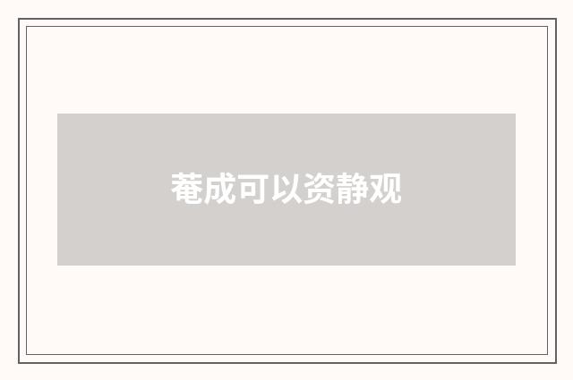 菴成可以资静观