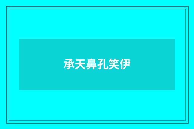 承天鼻孔笑伊