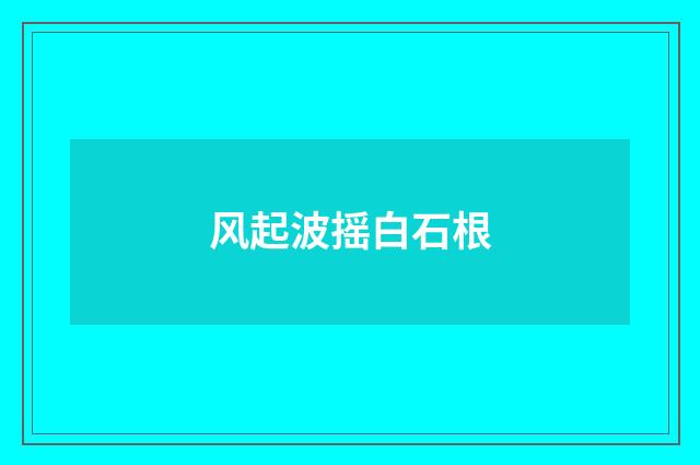 风起波摇白石根