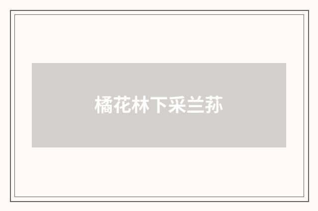 橘花林下采兰荪