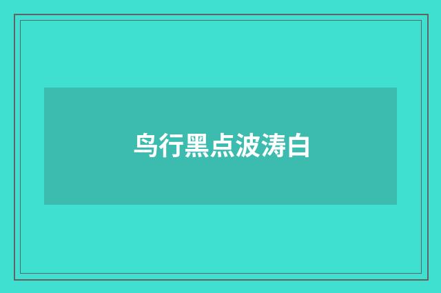 鸟行黑点波涛白