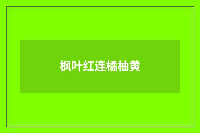 枫叶红连橘柚黄