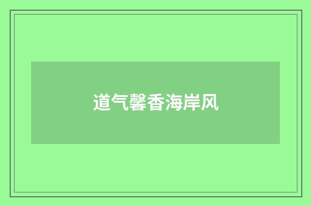 道气馨香海岸风