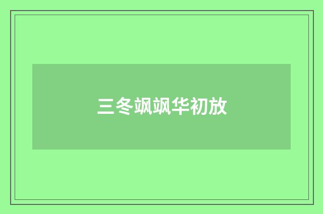 三冬飒飒华初放