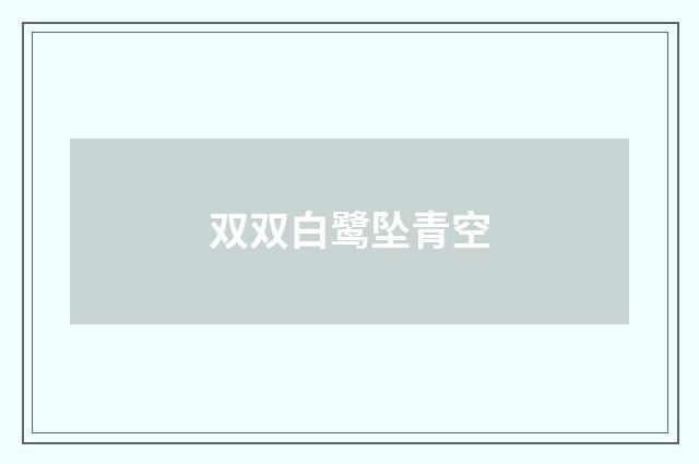 双双白鹭坠青空