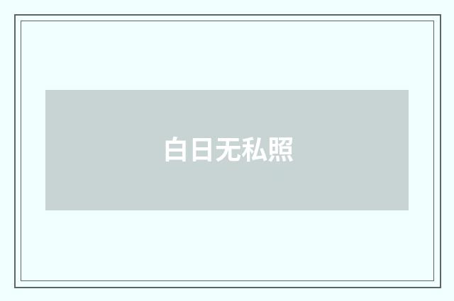 白日无私照