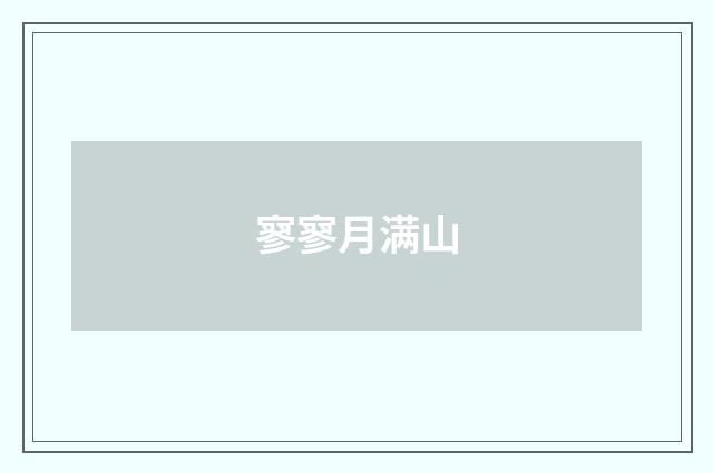 寥寥月满山