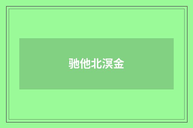 驰他北溟金