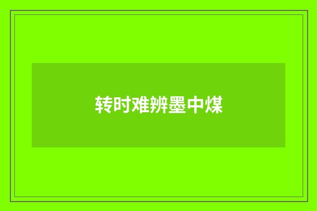 转时难辨墨中煤