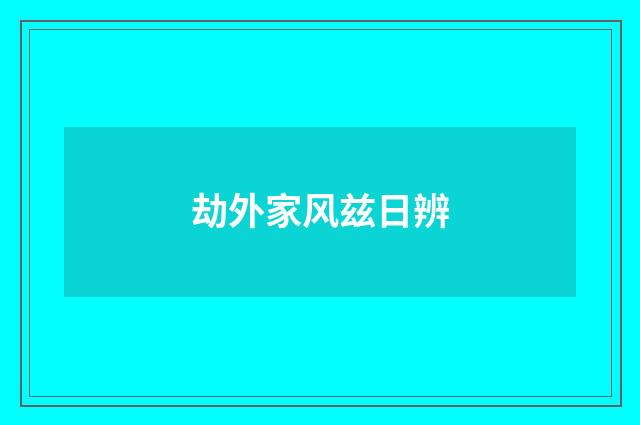 劫外家风兹日辨