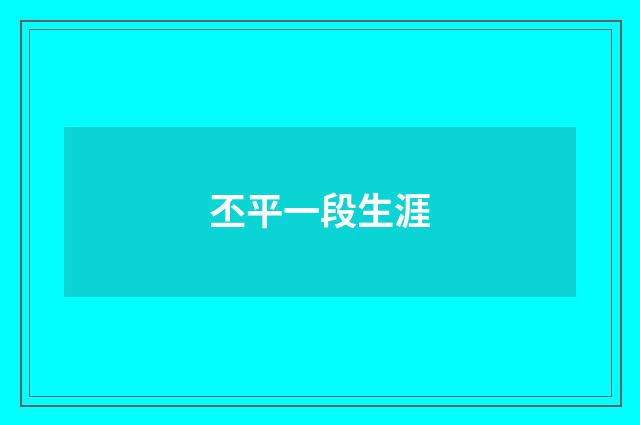 丕平一段生涯