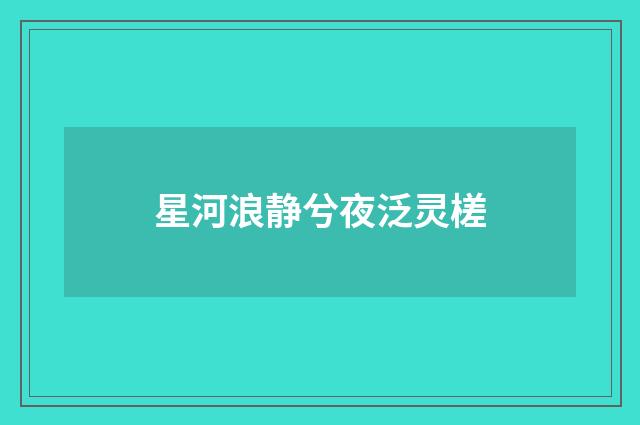 星河浪静兮夜泛灵槎