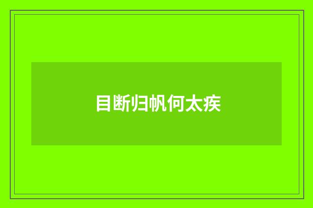 目断归帆何太疾