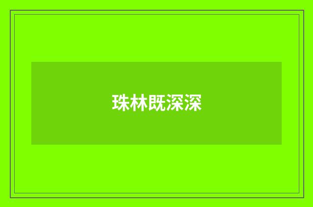 珠林既深深