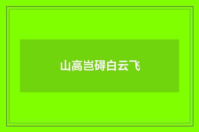 山高岂碍白云飞