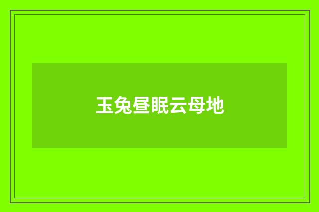 玉兔昼眠云母地