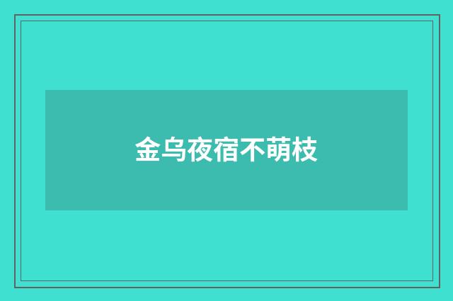 金乌夜宿不萌枝