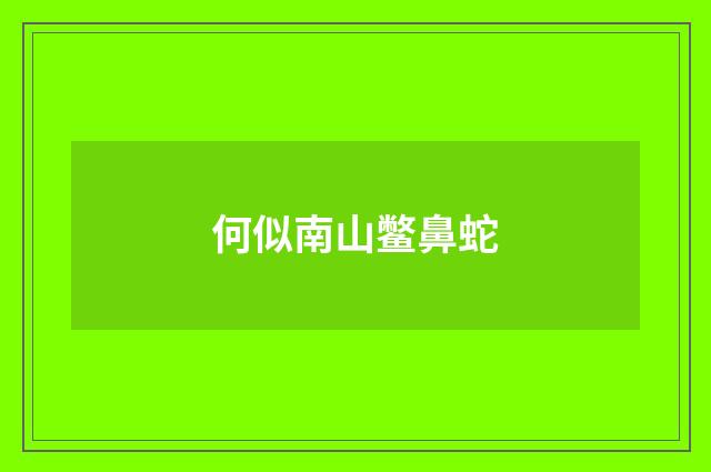 何似南山鳖鼻蛇