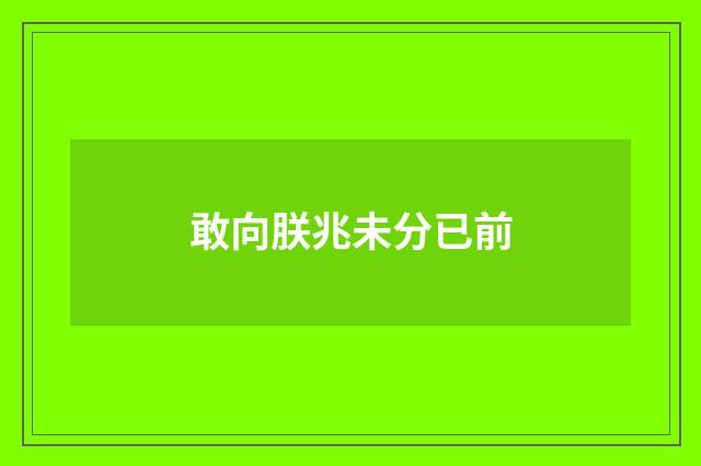敢向朕兆未分已前