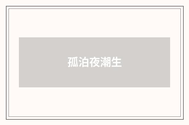 孤泊夜潮生