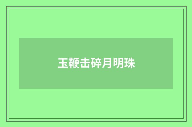 玉鞭击碎月明珠
