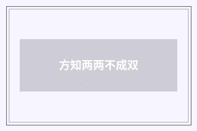 方知两两不成双