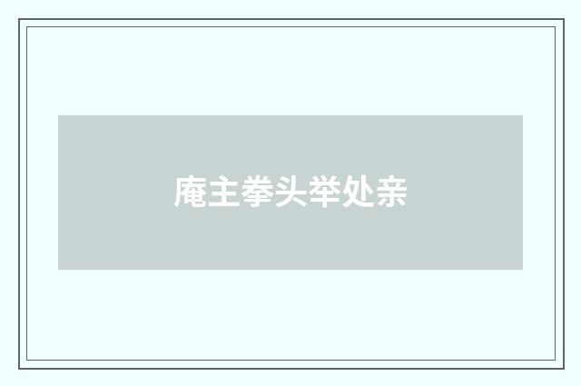 庵主拳头举处亲