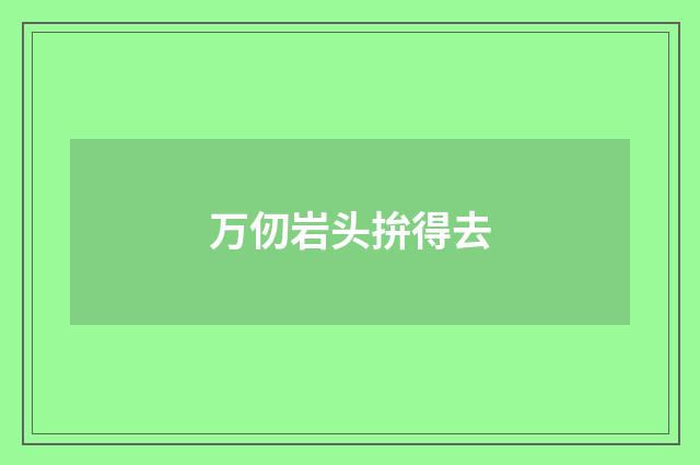万仞岩头拚得去
