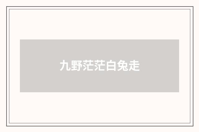 九野茫茫白兔走