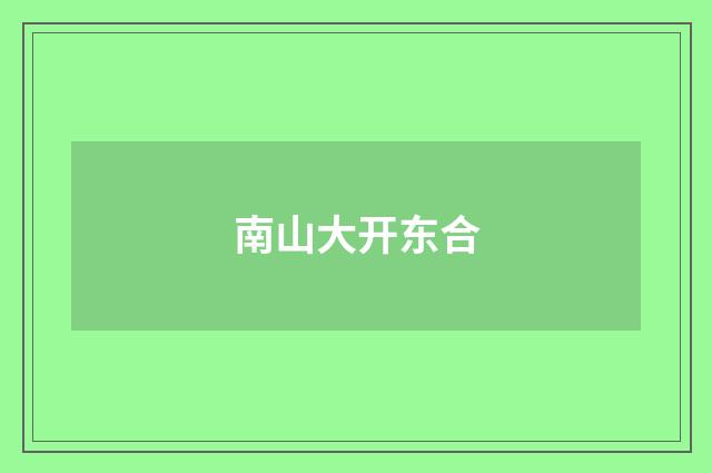 南山大开东合