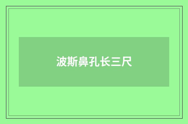 波斯鼻孔长三尺