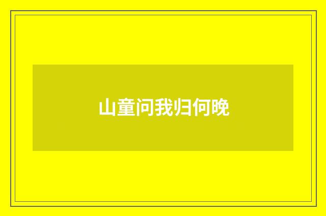 山童问我归何晚