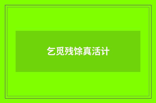 乞觅残馀真活计