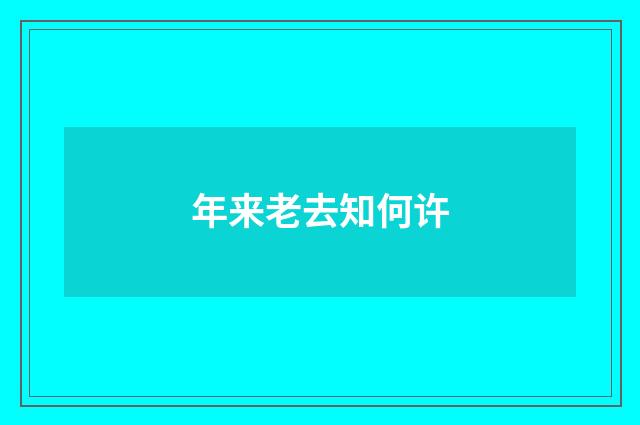 年来老去知何许