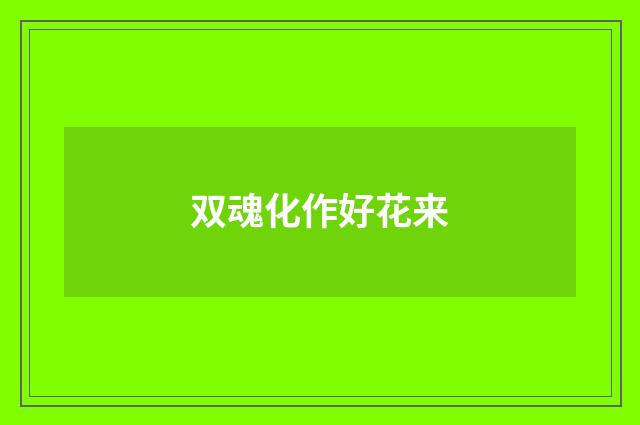 双魂化作好花来