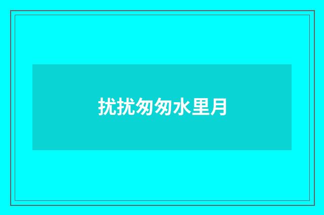 扰扰匆匆水里月