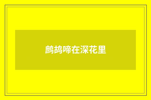 鹧鸪啼在深花里