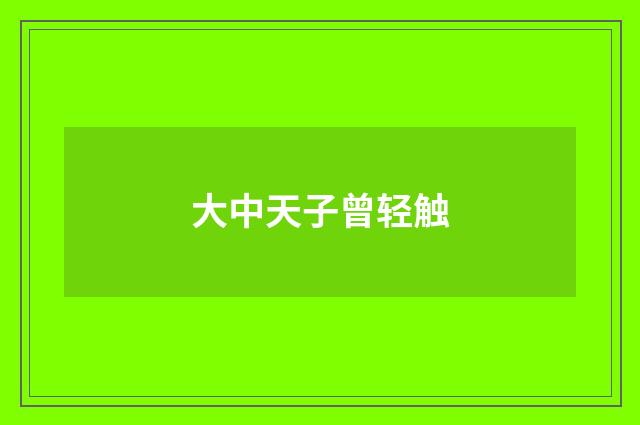 大中天子曾轻触