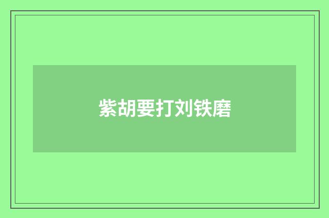 紫胡要打刘铁磨