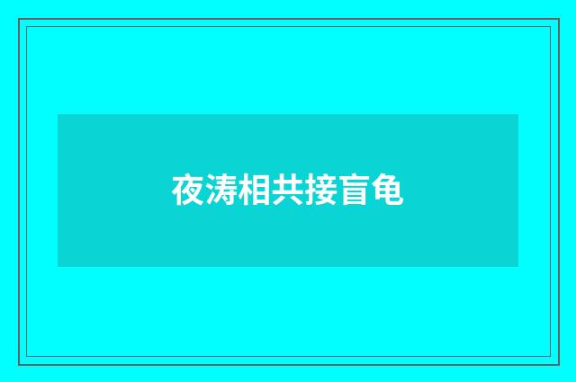 夜涛相共接盲龟