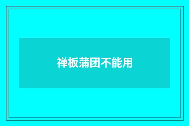 禅板蒲团不能用