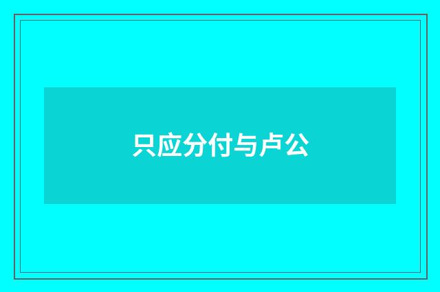 只应分付与卢公