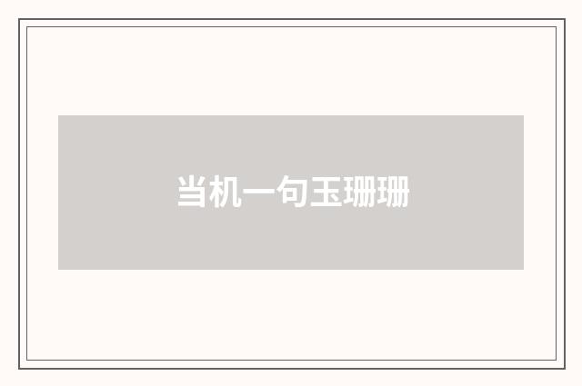 当机一句玉珊珊