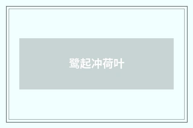 鹭起冲荷叶